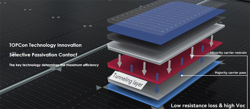 Panel Solar Cell-2